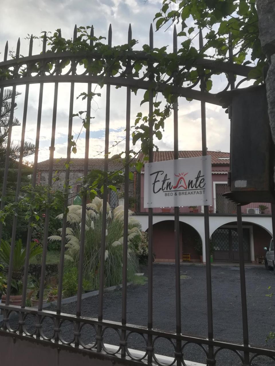 Etnante Bed & Breakfast Zafferana Etnea Ngoại thất bức ảnh