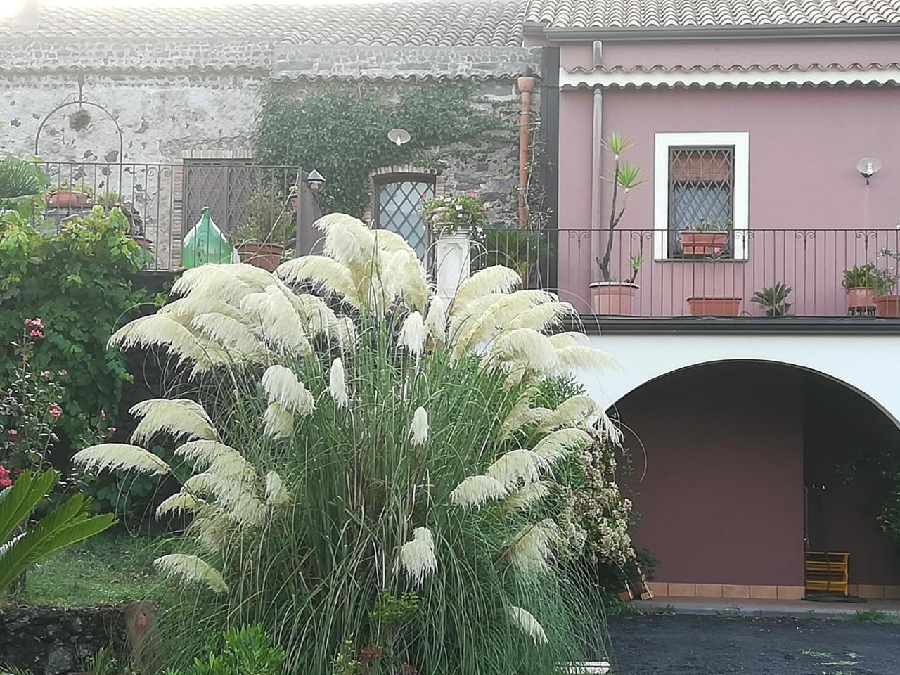 Etnante Bed & Breakfast Zafferana Etnea Ngoại thất bức ảnh
