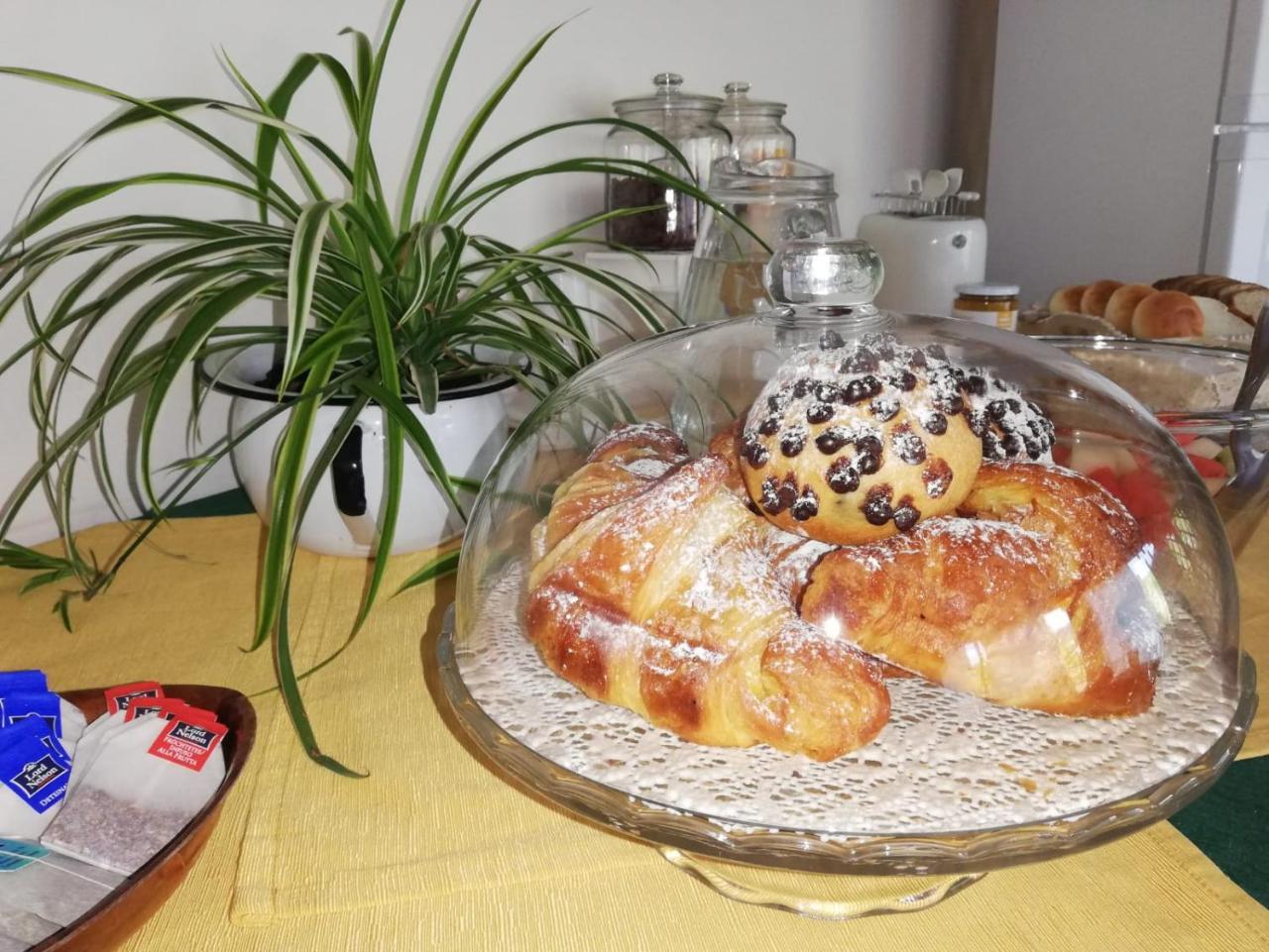 Etnante Bed & Breakfast Zafferana Etnea Ngoại thất bức ảnh